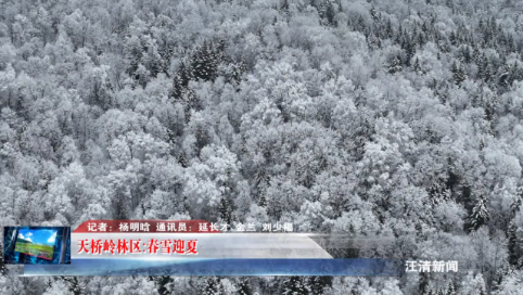 05月06日-天桥岭林区:春雪迎夏