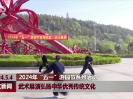 2024年“五一”游园节系列活动 武术展演弘扬中华优秀传统文化
