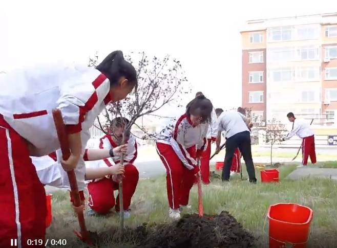 短视频丨春日植绿树 携手美家园