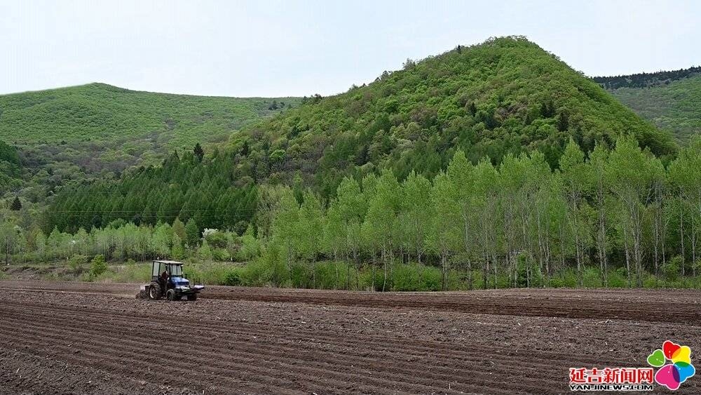 惠农政策护航 大豆种植户干劲十足