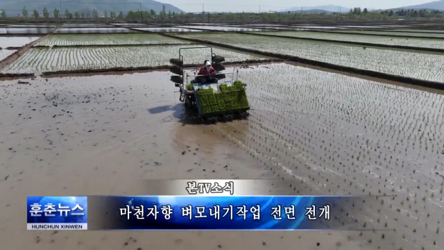 마천자향 벼모내기작업 전면 전개