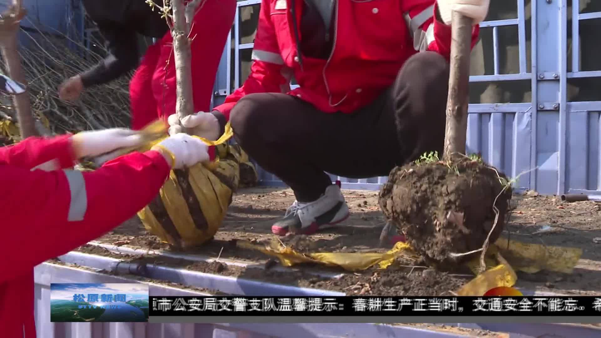 吉油风采  吉林油田江北物业服务公司积极开拓绿化服务市场掀起会战热潮