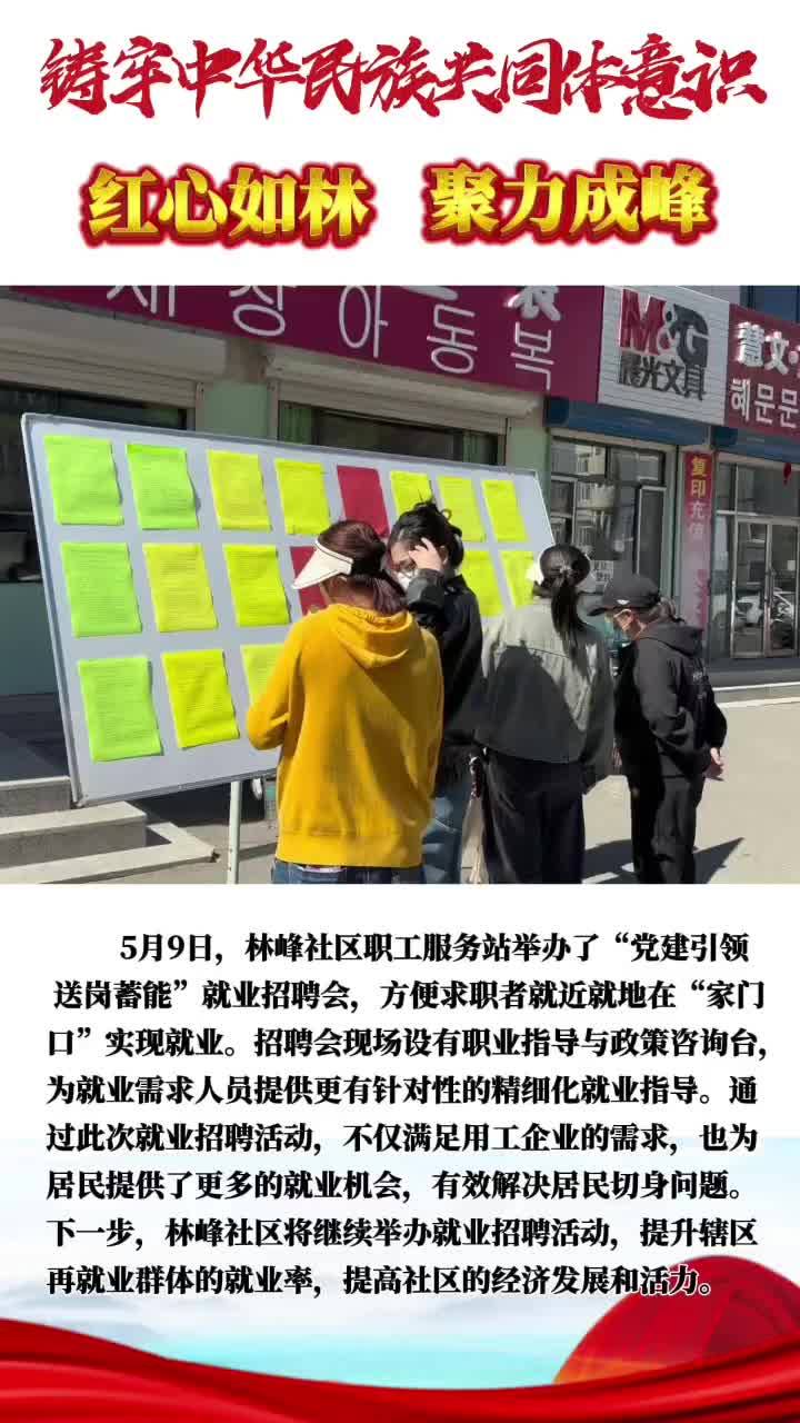 丹江街道林峰社区“党建引领 送岗蓄能”就业招聘会