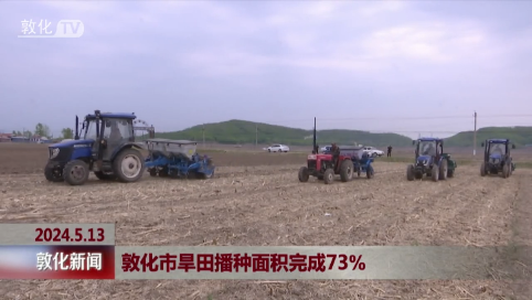 敦化市旱田播种面积完成73%