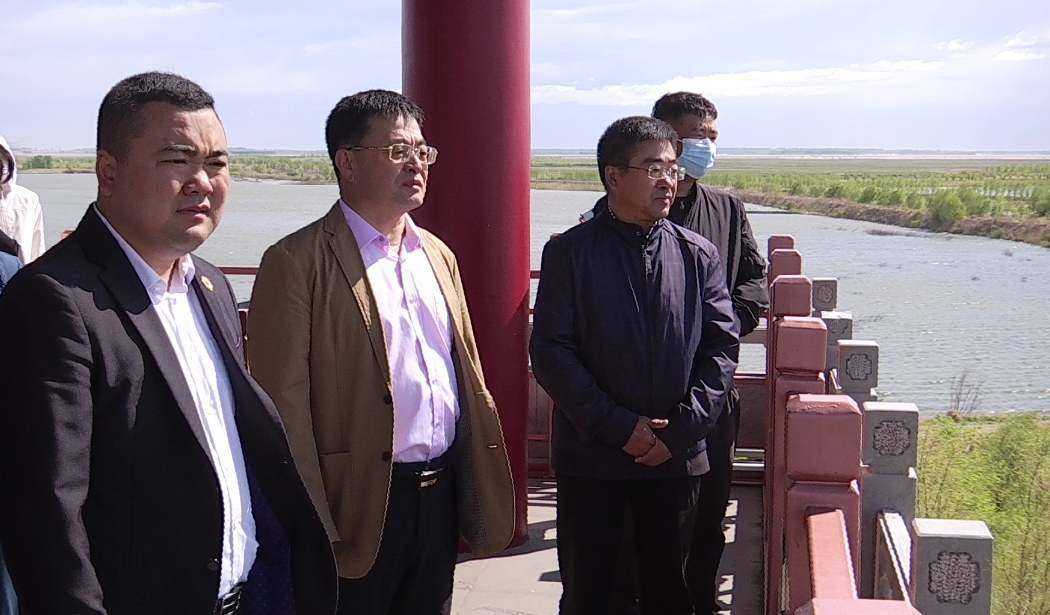 【5A景区创建】大安市政协围绕“嫩江湾5A级景区创建”开展专委会视察活动