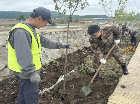 龙井市德新乡组织全体机关干部开展植树活动