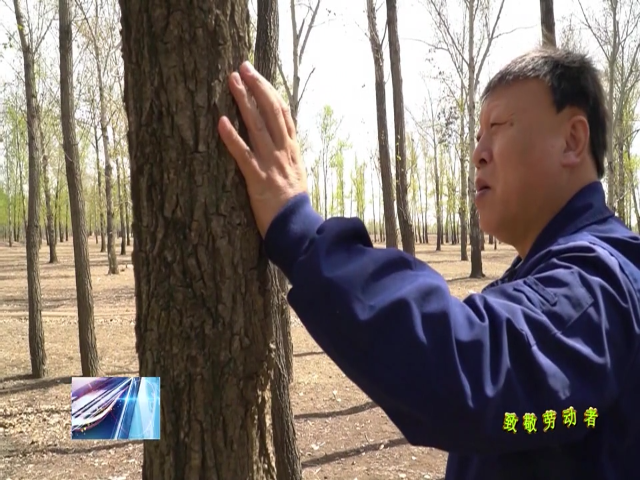 绿水青山映初心——市级劳动模范杨兆田事迹