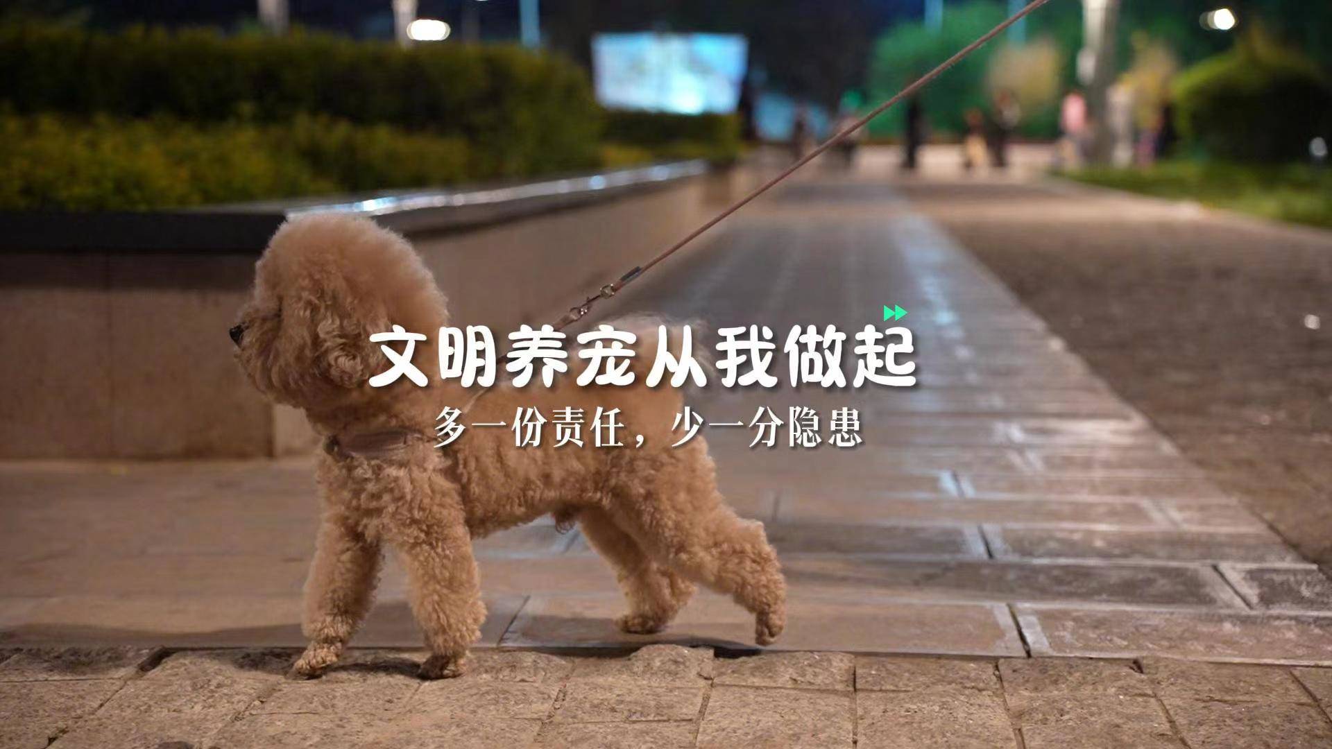 文明养犬 从我做起 多一份责任 少一分隐患