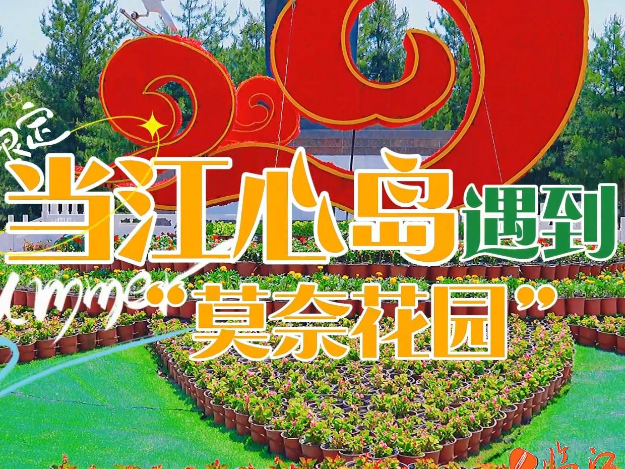 临江 | 夏日限定 当江心岛遇到“莫奈花园”