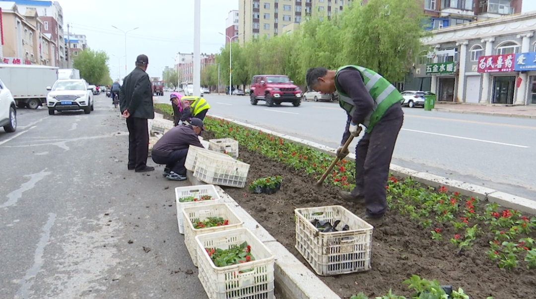 【创建全国文明城市】大安市城管局：栽植时令花卉 扮靓城市街景