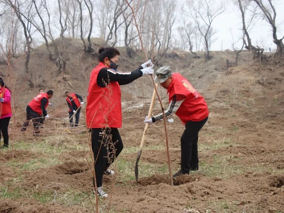 公主岭市双龙镇大力推进大规模国土绿化和人居环境整治工作