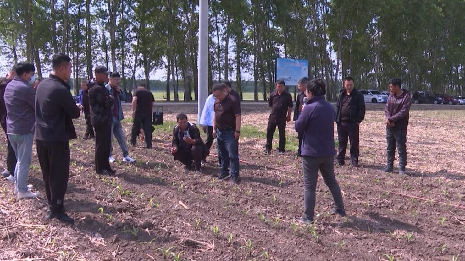 前郭县农机服务中心召开保护性耕作高标基地出苗情况现场观摩会