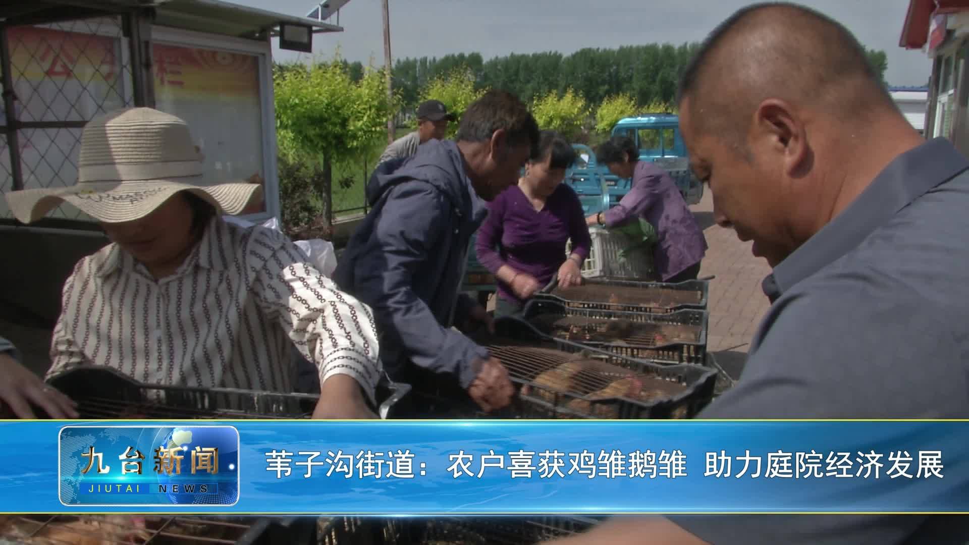 苇子沟街道：农户喜获鸡雏鹅雏 助力庭院经济发展