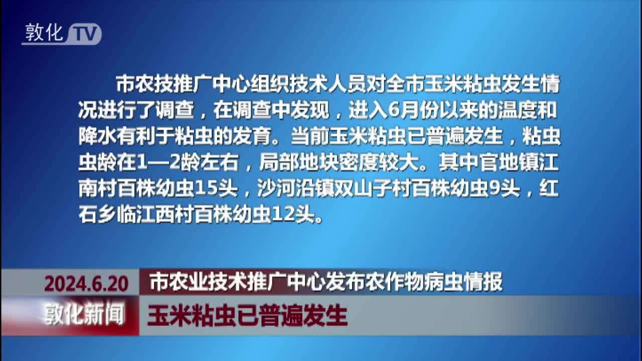 市农业技术推广中心发布农作物病虫情报 玉米粘虫已普遍发生