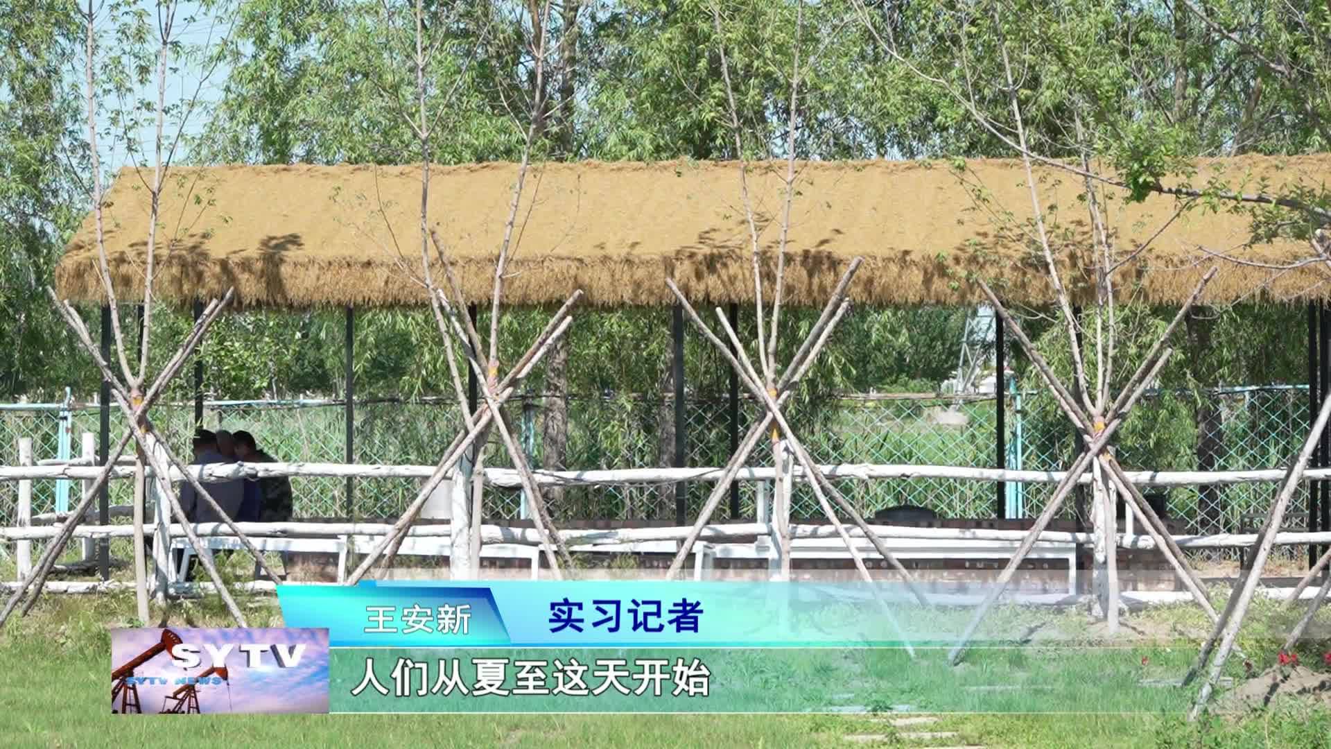 主播说节气  夏至