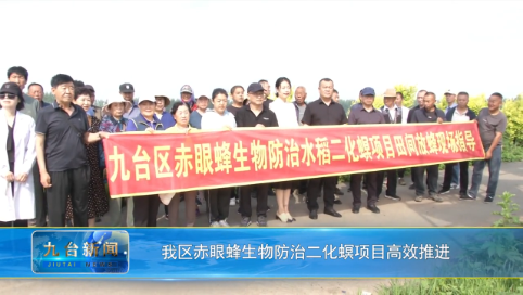 我区赤眼蜂生物防治二化螟项目高效推进