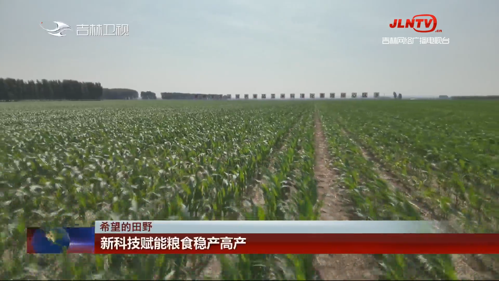 【希望的田野】新科技赋能粮食稳产高产