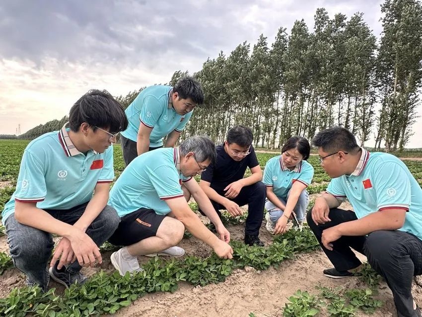 人民观察丨黑土地种出“金粒粒”，吉林省科技小院显身手！