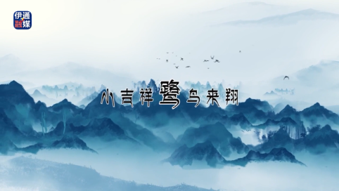 伊通河源镇：小吉祥——鹭鸟来翔