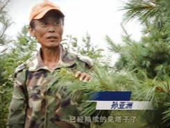 《在我们中间》选读丨种树的老孙