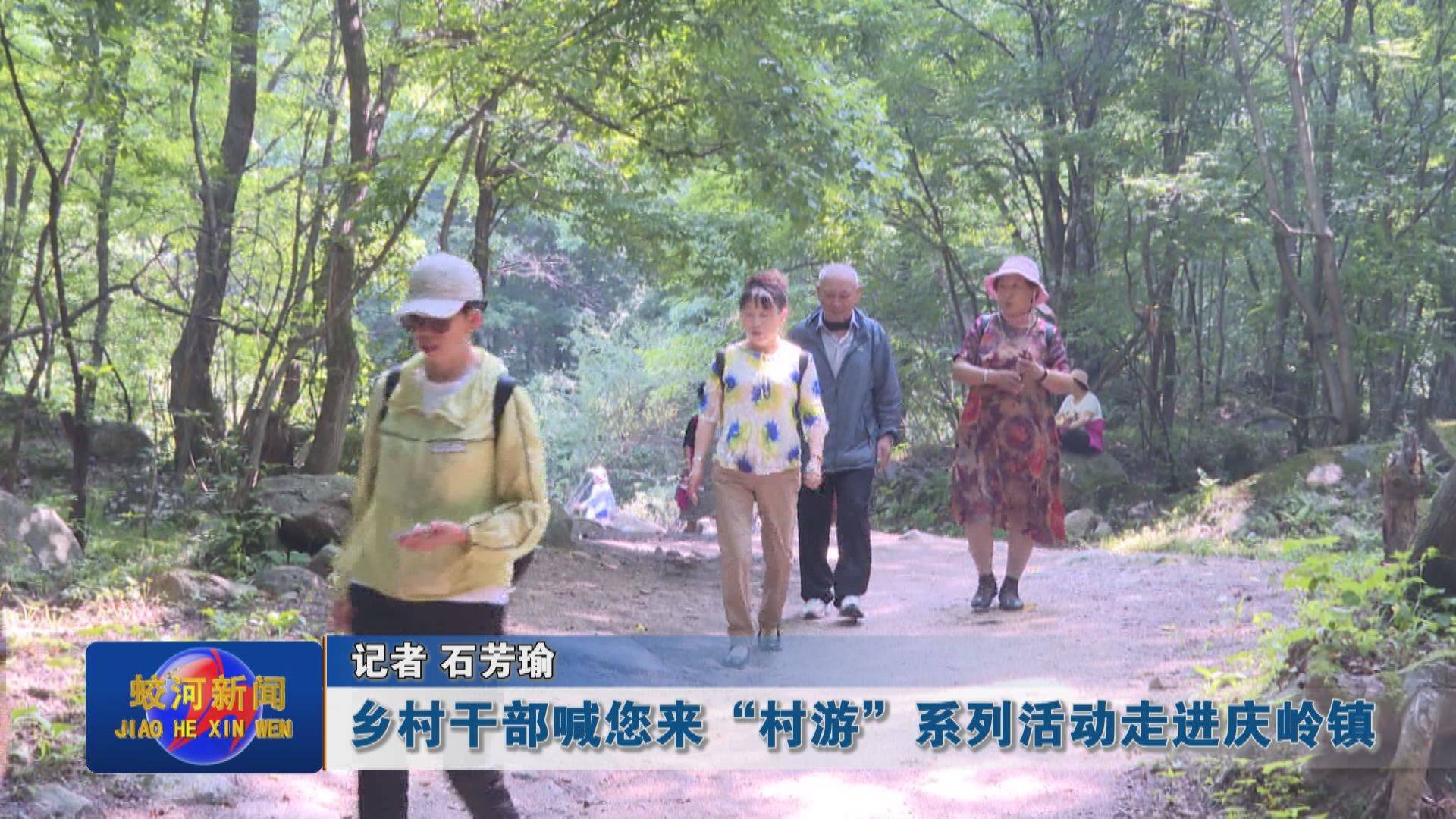 乡村干部喊您来“村游”系列活动走进蛟河市庆岭镇