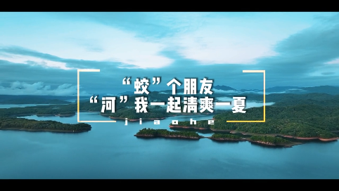 “蛟”个朋友 “河”我一起清爽一夏