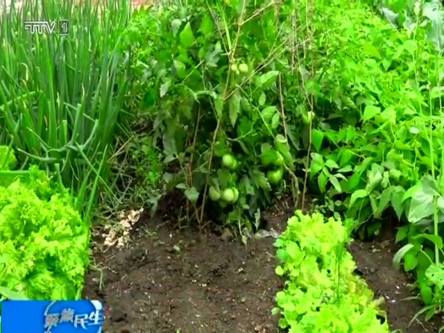 本周多阵雨  需防范局地气象灾害