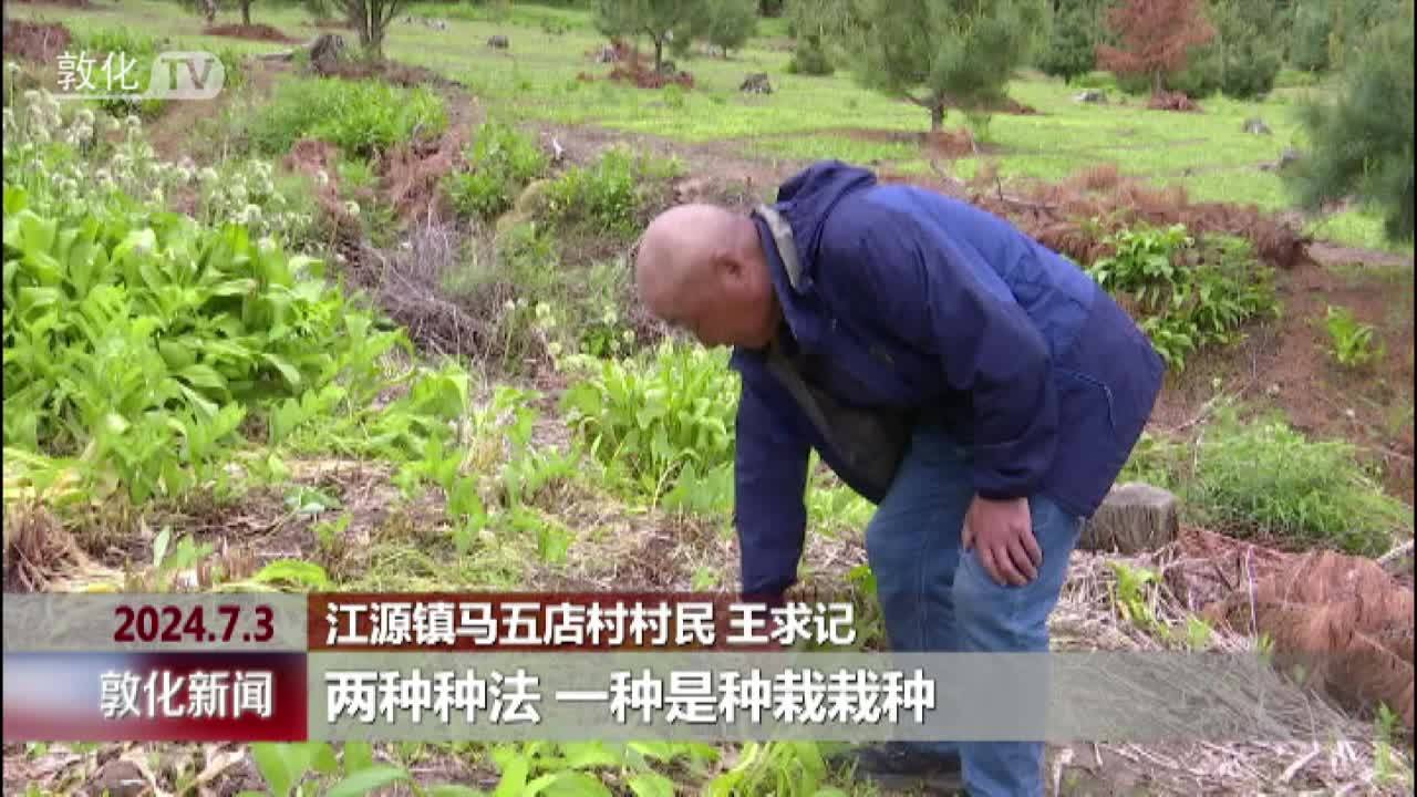 王求记：专研种植寒葱15年 带领周边村民致富增收