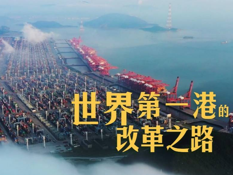 逢山开路 遇水架桥丨世界第一港的改革之路