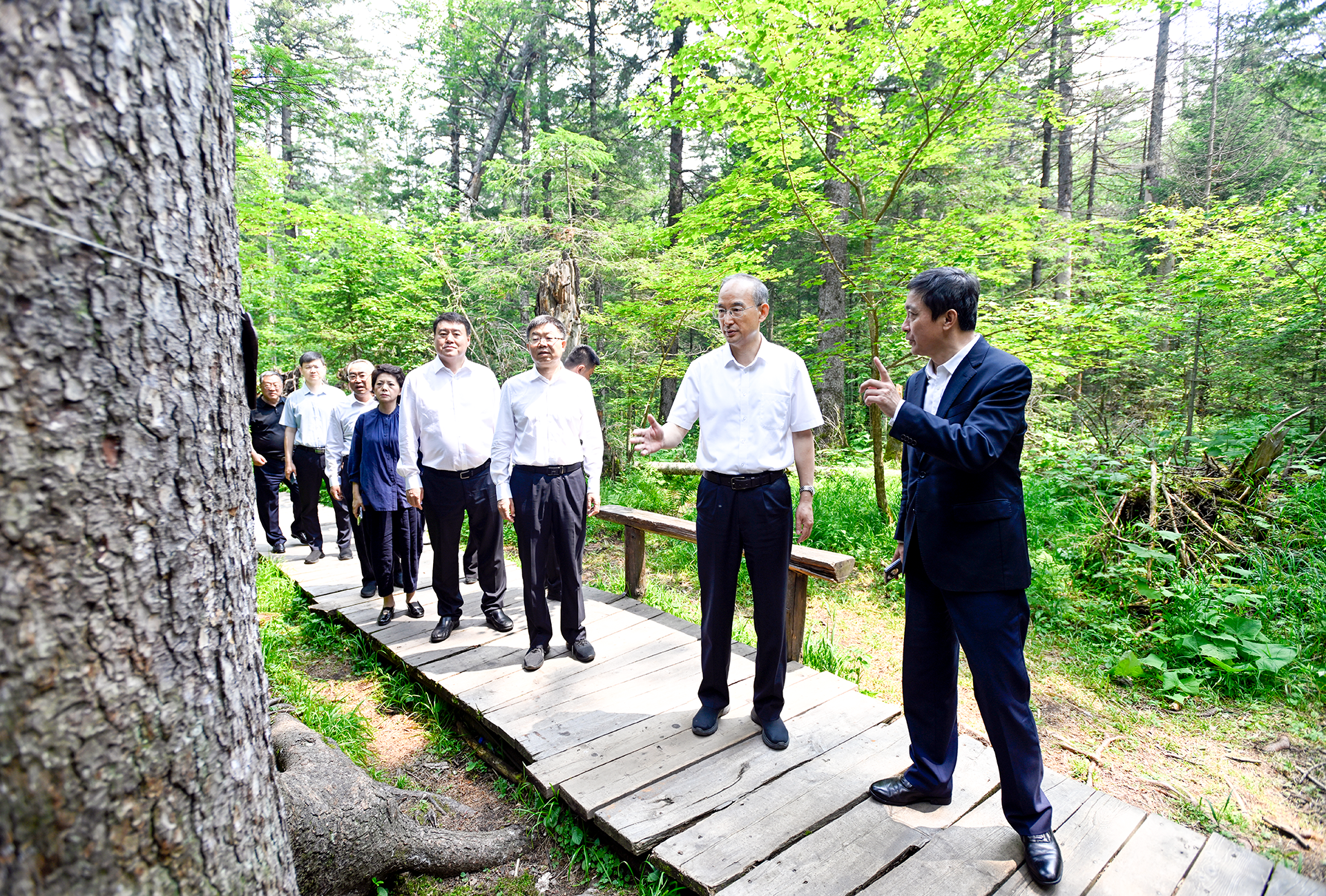 黄强在长白山保护开发区调研