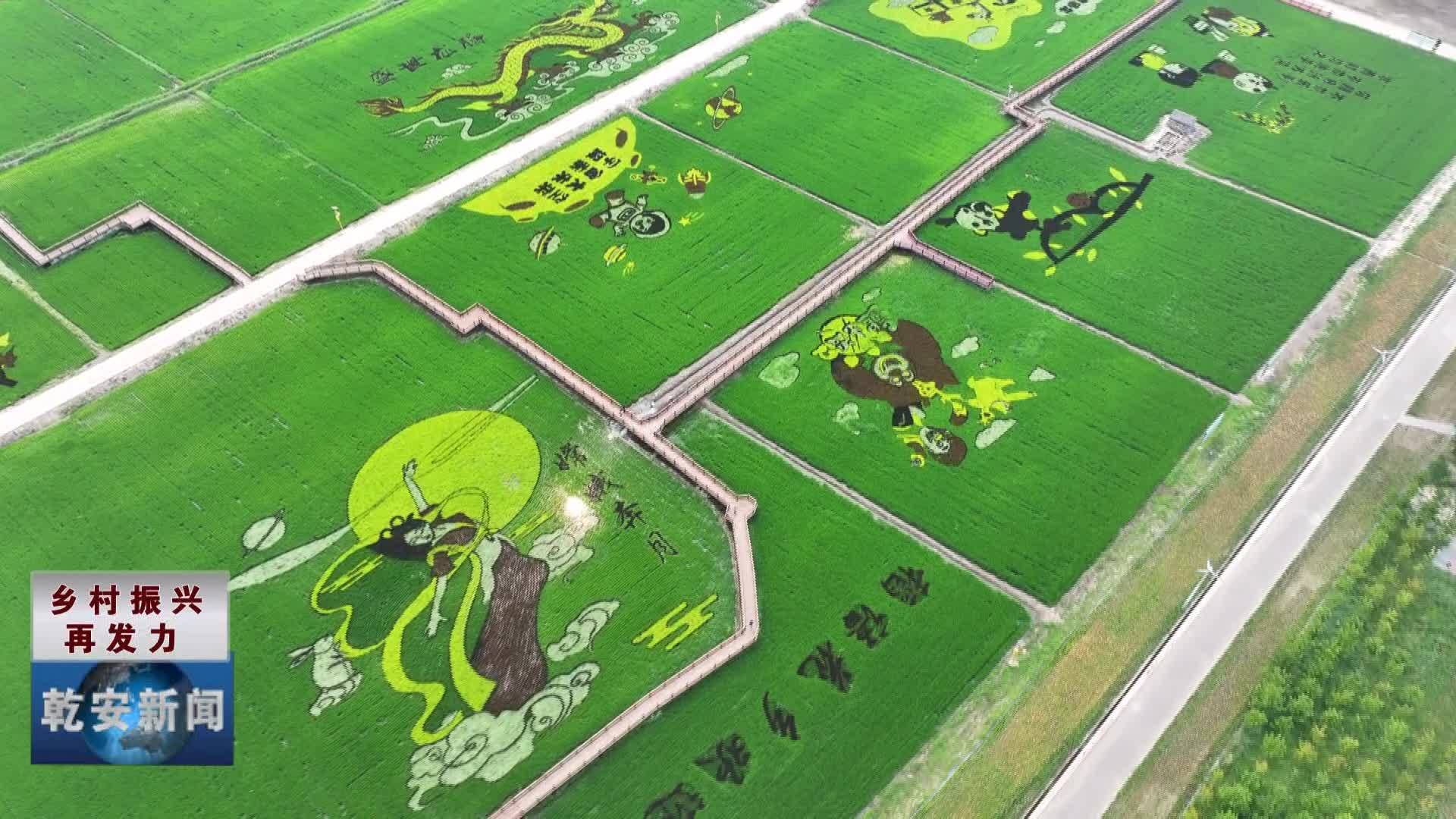 乾安县大遐畜牧场：农文旅融合打造地域新名片