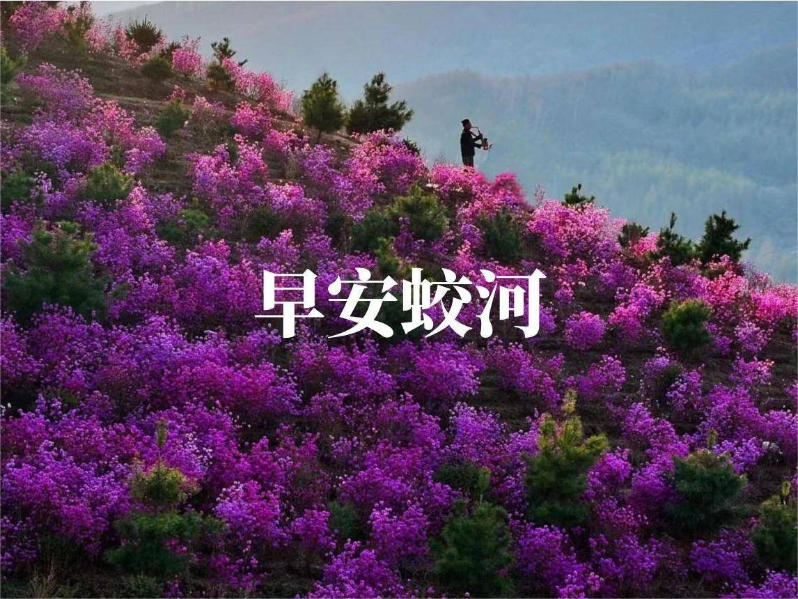 早安蛟河