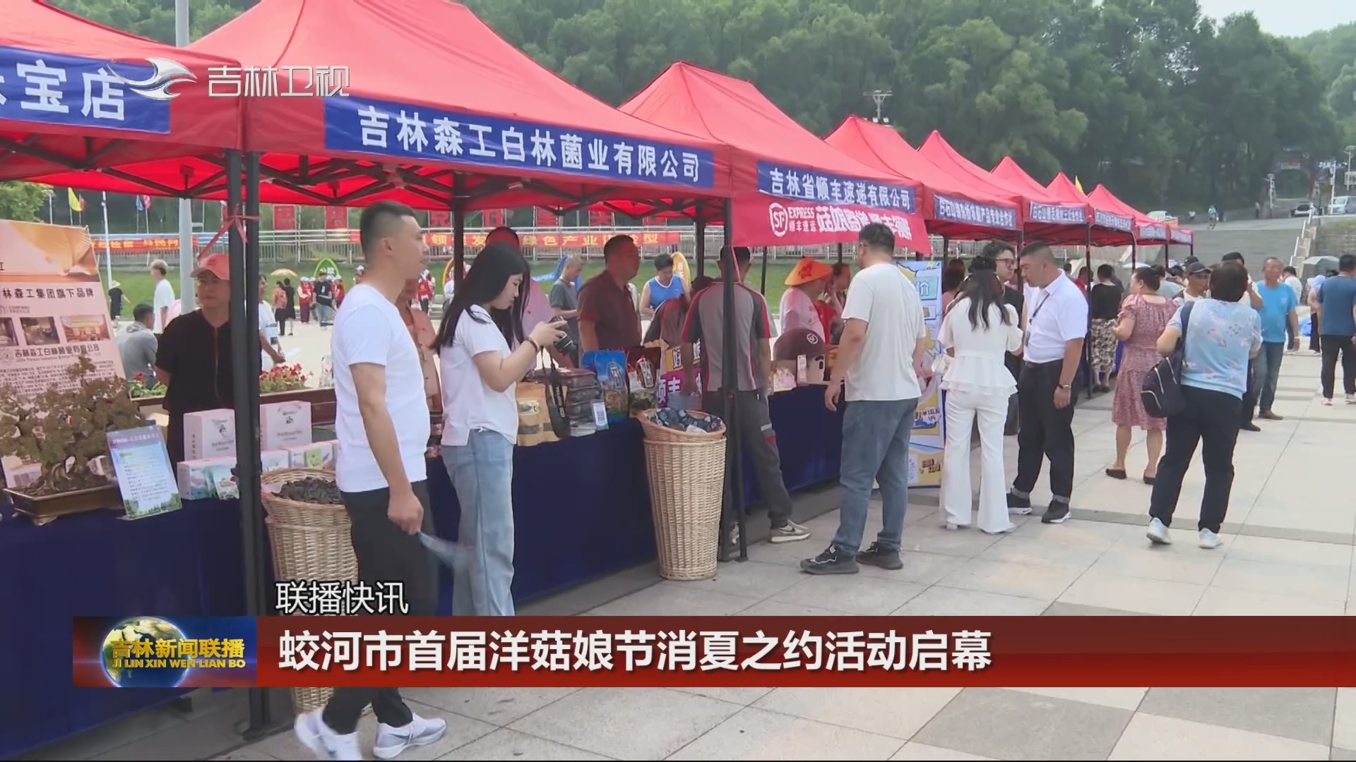 【联播快讯】蛟河市首届洋菇娘节消夏之约活动启幕