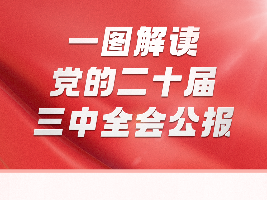 一图解读党的二十届三中全会公报