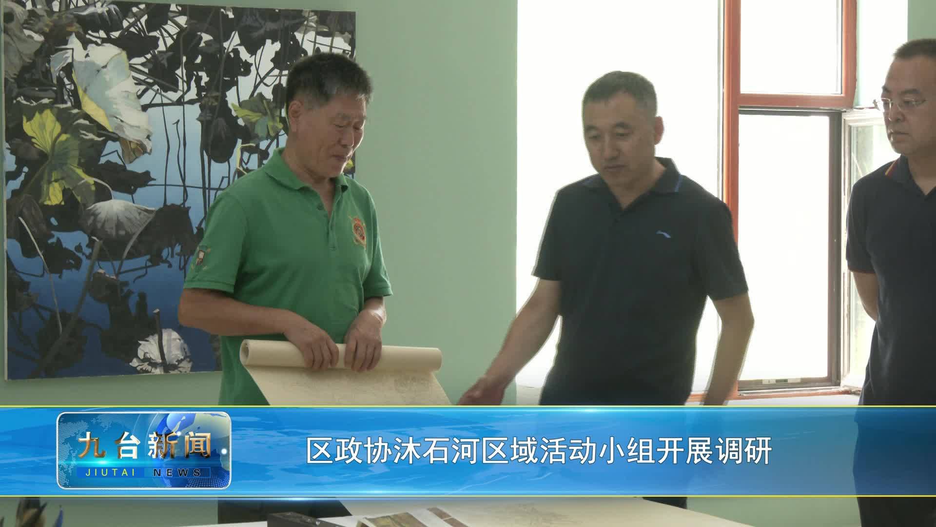 区政协沐石河区域活动小组开展调研