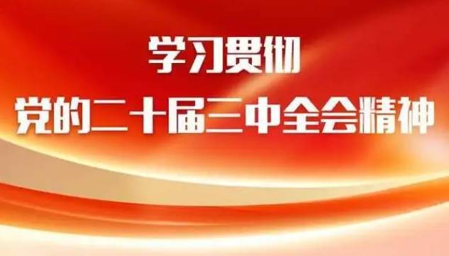 学习贯彻党的二十届三中全会精神