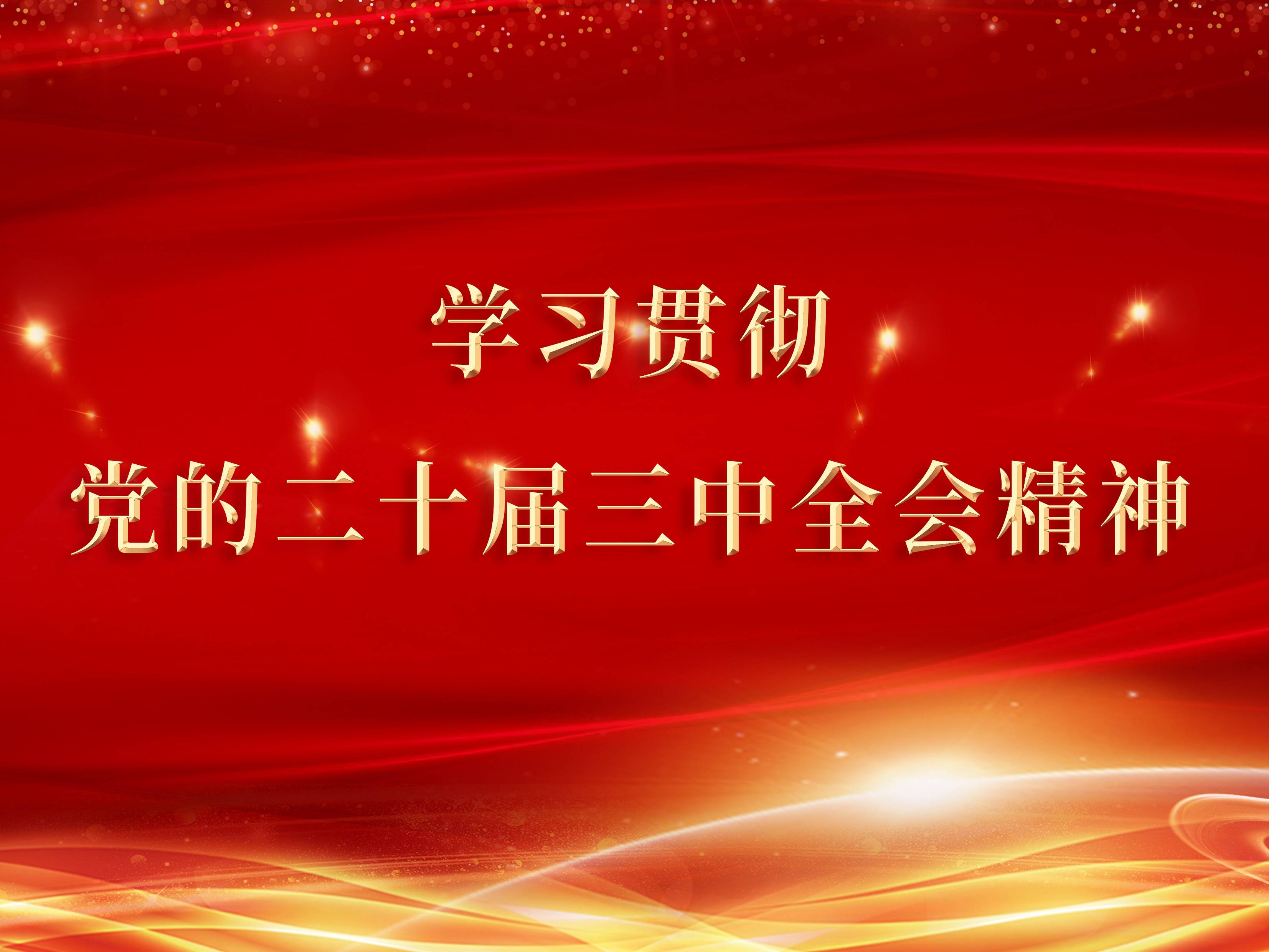 紧紧围绕推进中国式现代化进一步全面深化改革（学习贯彻党的二十届三中全会精神）——与会同志谈贯彻落实党的二十届三中全会精神