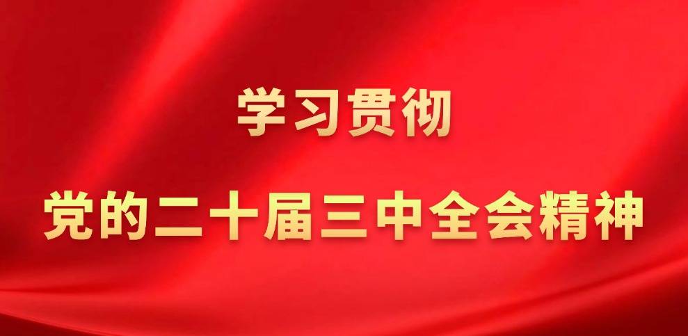 学习贯彻党的二十届三中全会精神