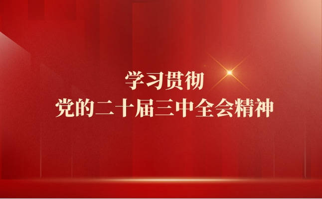 学习贯彻党的二十届三中全会精神