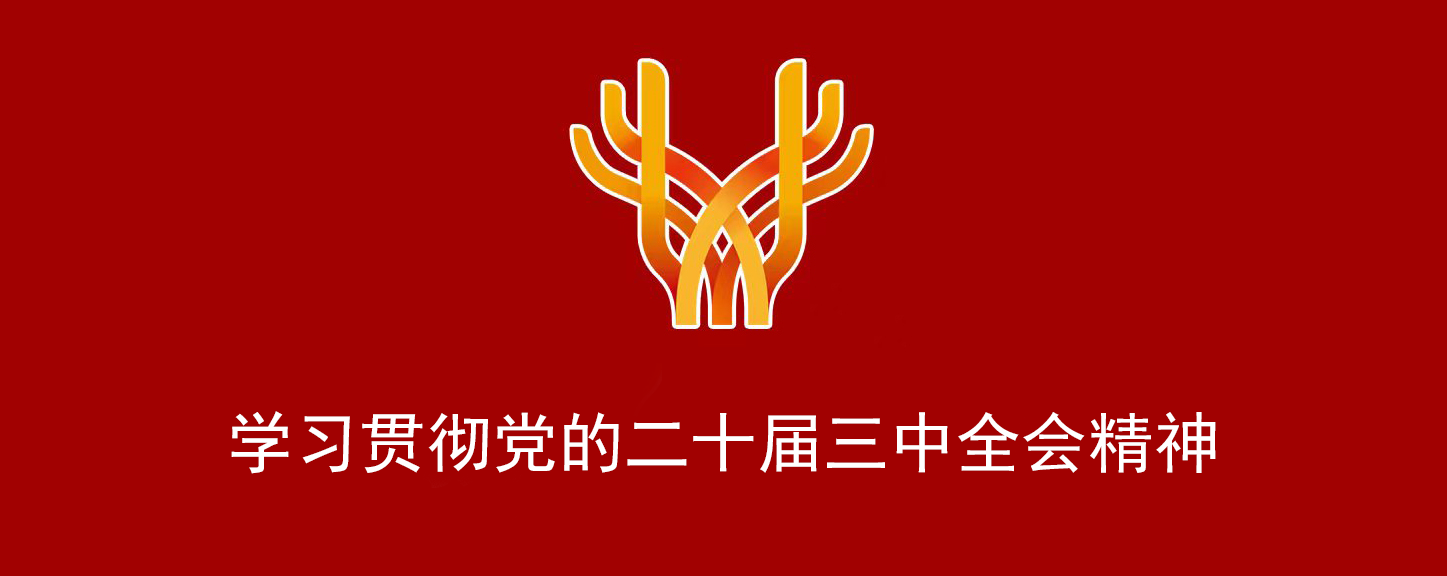 学习贯彻党的二十届三中全会精神