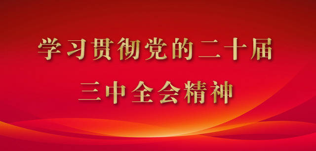 学习贯彻党的二十届三中全会精神