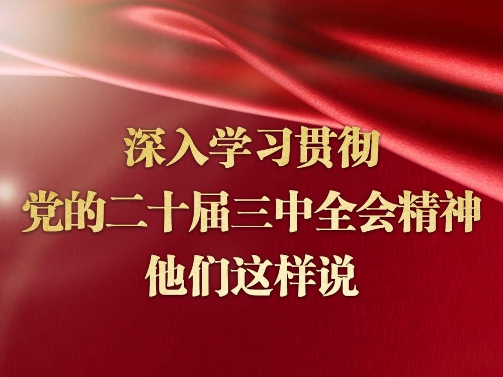 深入学习贯彻党的二十届三中全会精神，他们这样说