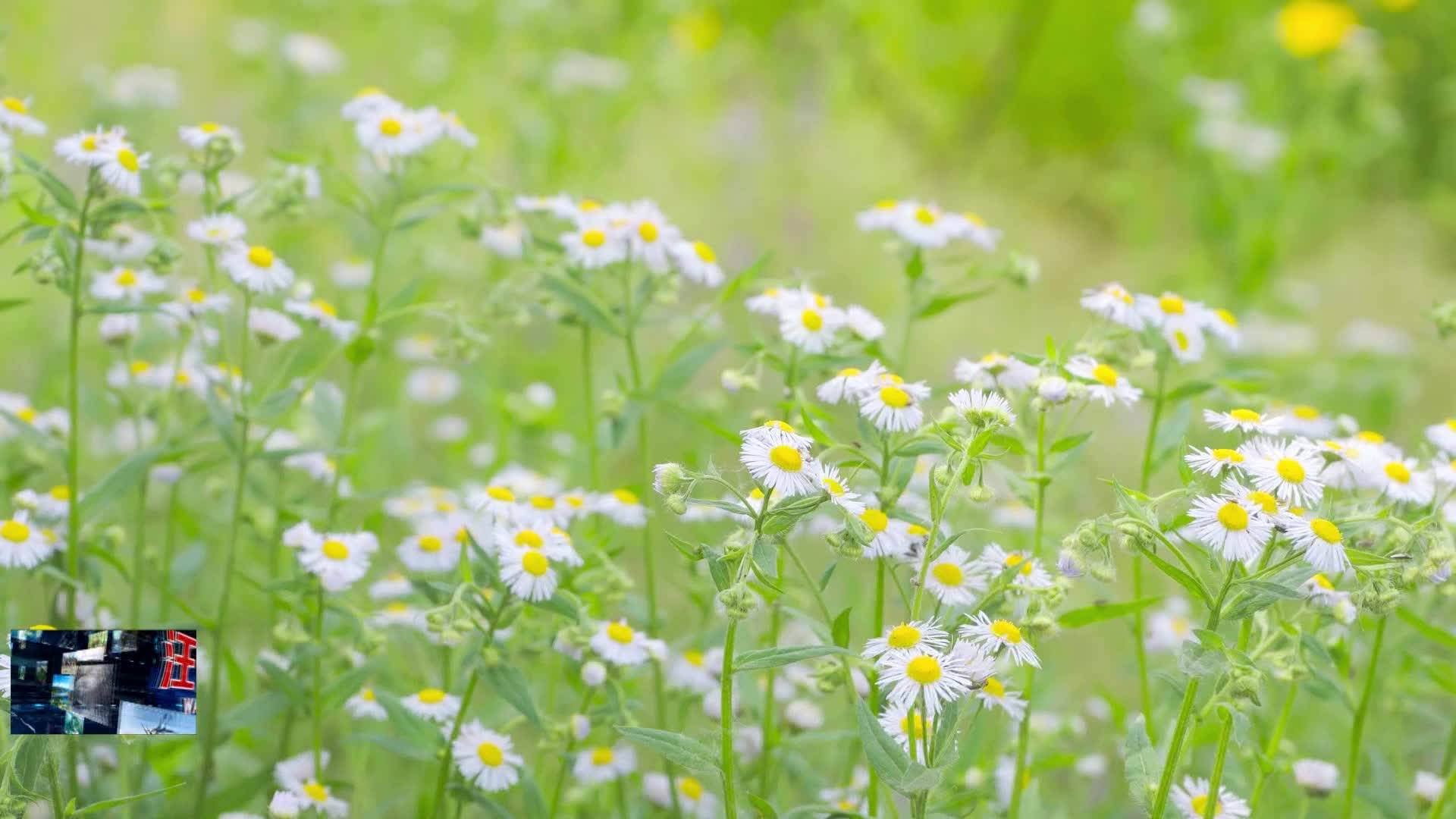 07月22日-今日大暑