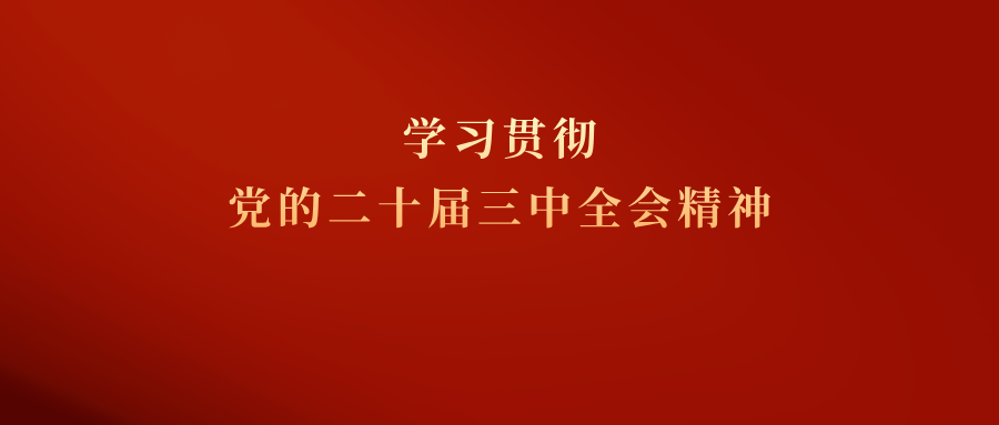 学习贯彻党的二十届三中全会精神