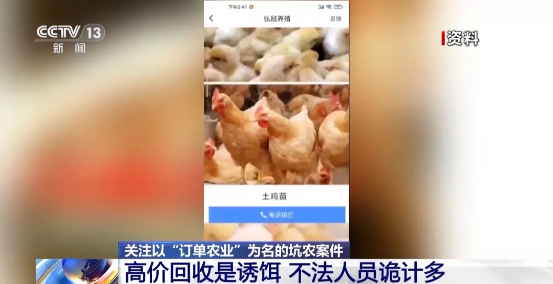 高价回收是诱饵！警惕以“订单农业”为名的骗局