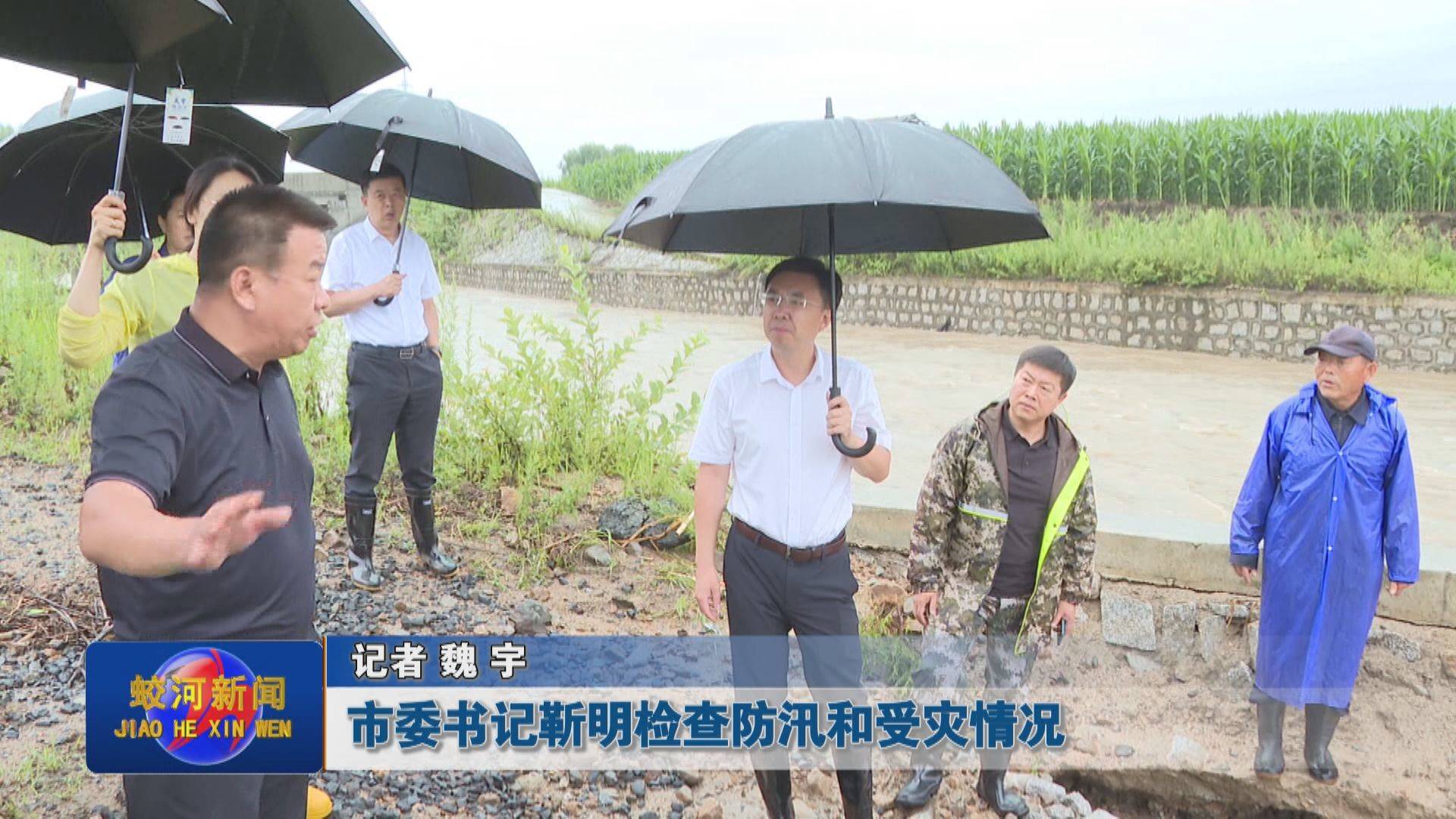 蛟河市委书记靳明检查防汛和受灾情况