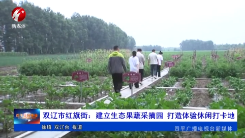 双辽市红旗街：建立生态果蔬采摘园 打造体验休闲打卡地