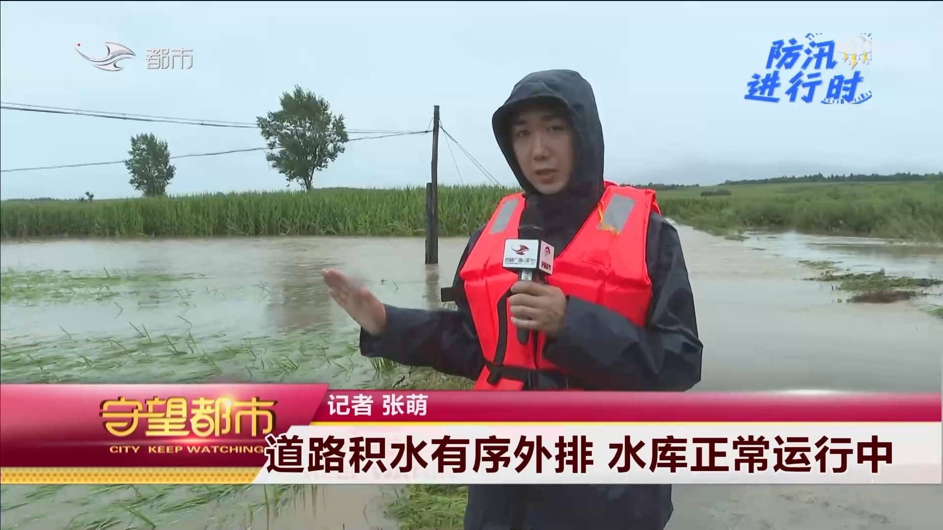 守望都市｜道路积水有序外排 水库正常运行中