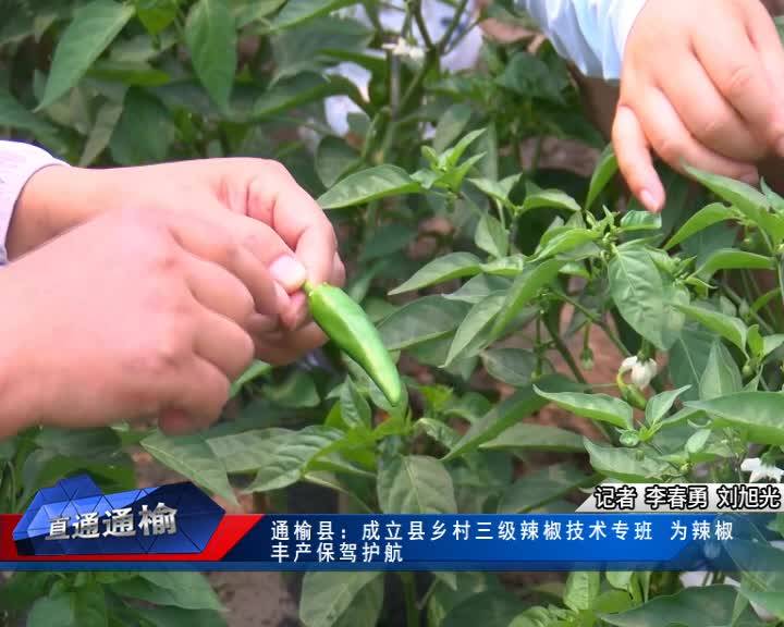 7月30日 直通通榆