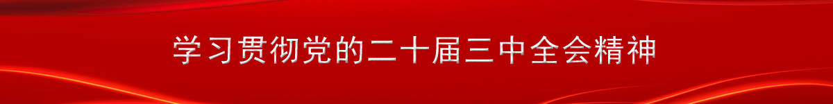 学习贯彻党的二十届三中全会精神